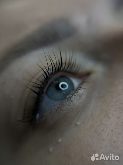 Мастер бровист