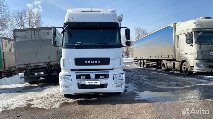 КАМАЗ 5490 NEO, 2017
