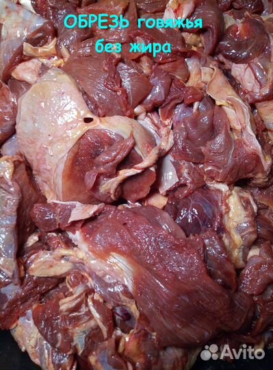 Мясо для собак и кошек (говядина, курица, индейка)