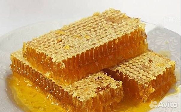 Пчелосемьи продам
