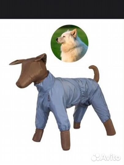 Комбинезон на собаку (самоед, лабрадор), кобель