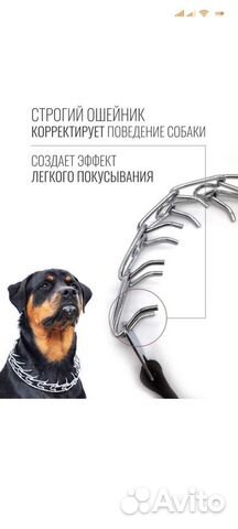 Строгий ошейник для собак