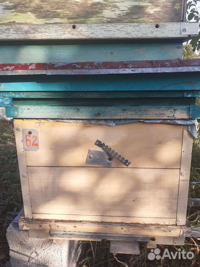 Ульи для пчел