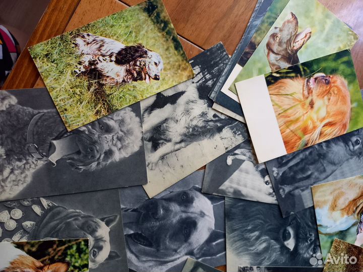 Открытки СССР