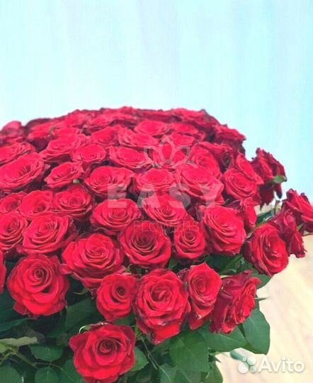 Свежие Букеты из 51розы