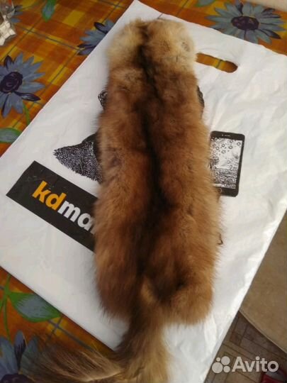 Шкурка животного