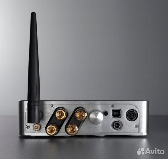 Интегральный усилитель Chord Electronics Maxx blac