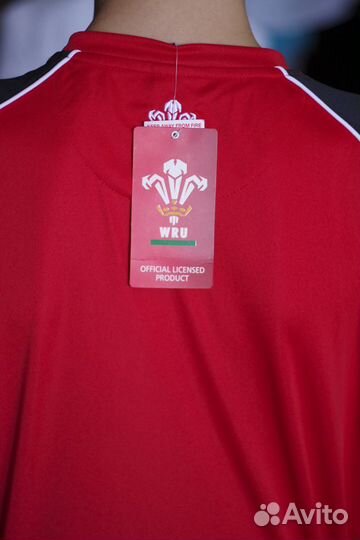 Детская футболка сборной по регби Уэльса р.42-44