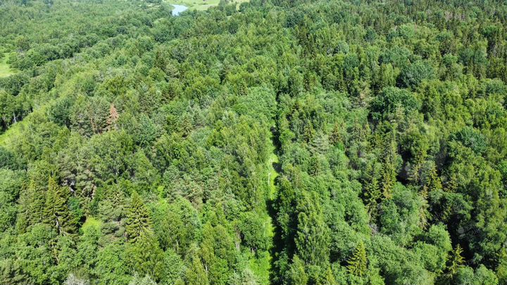 Участок 654,66 га (СНТ, ДНП)