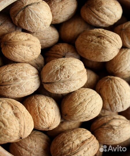 Грецкий орех в скорлупе