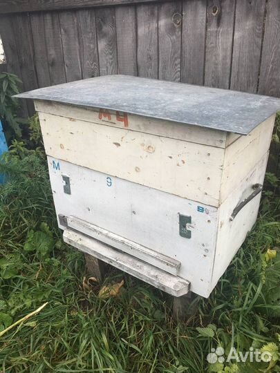 Ульи для пчел