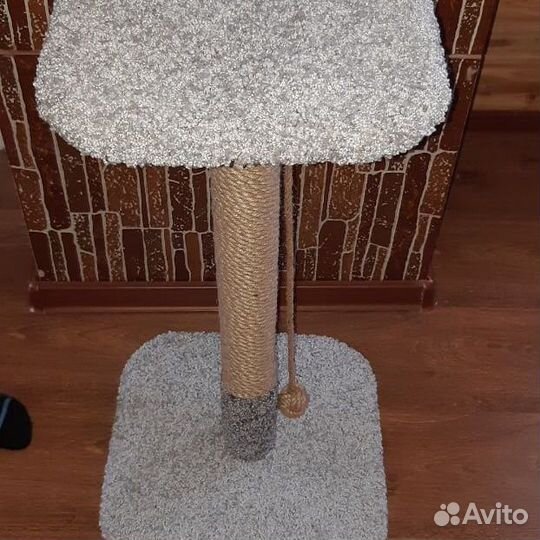 Когтеточка для кошки (7 моделей)