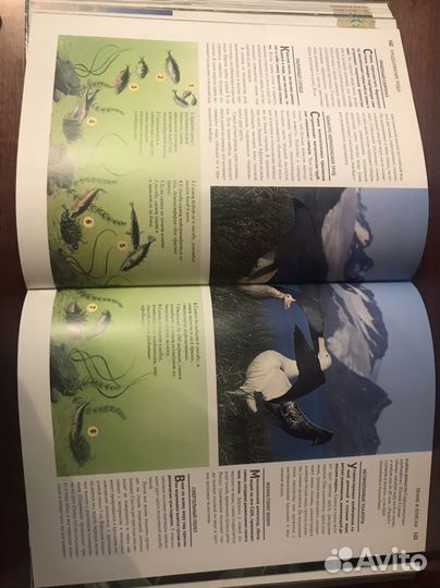 Ридерз дайджест 100 чудес природы