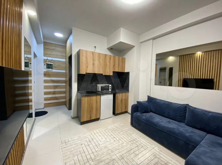 Квартира-студия, 27,5 м², 2/3 эт.