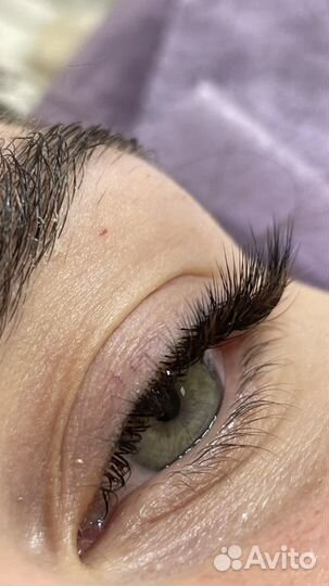 Наращивание ресниц и брови