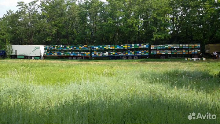 Подарочный набор воспитателю