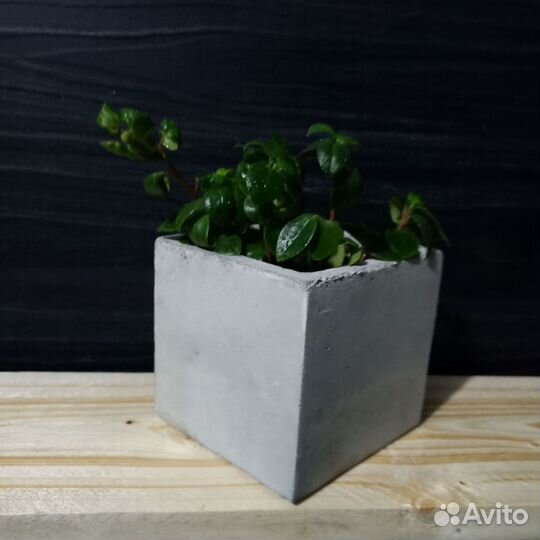 Горшки, Вазоны, Кашпо под заказ из бетона арт 134