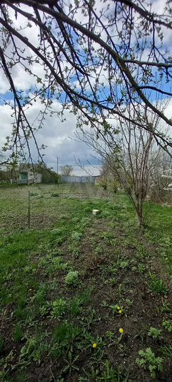 Дача 20 м² на участке 12 сот.