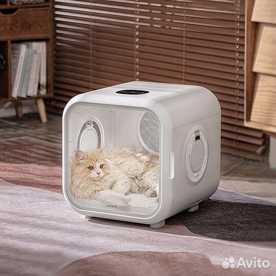 Груминг кошек