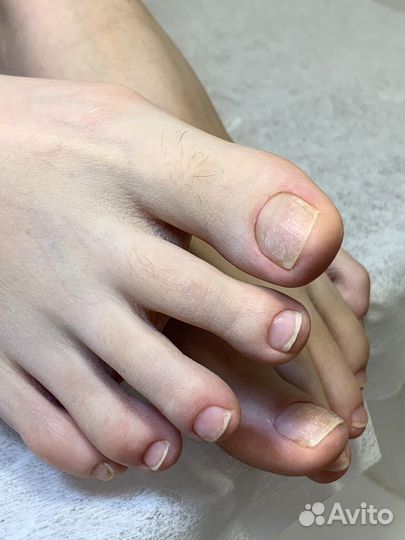 Маникюр и педикюр дисковый