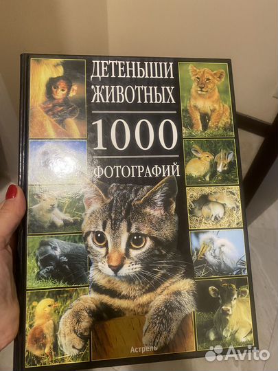 Книга-Альбом 