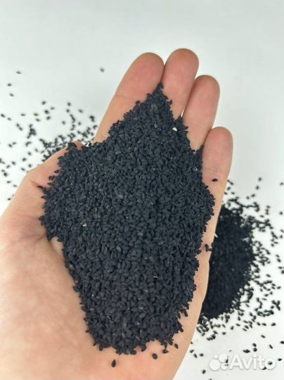 Тмин Индийский