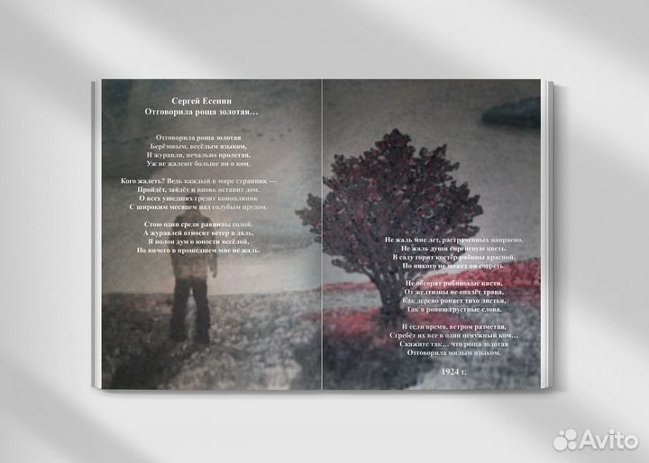 Преподаватель графического дизайна