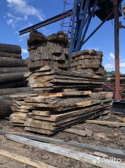 Широкие слэбы дерева Вяз, карагач