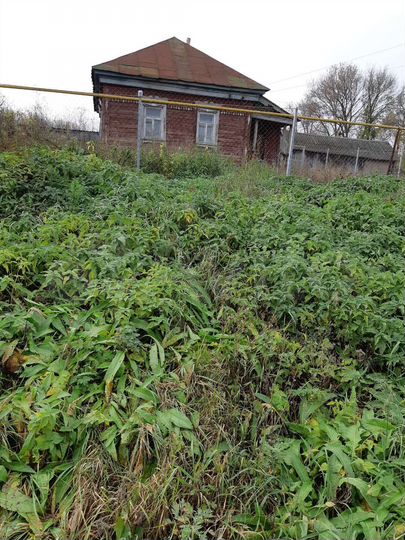 Дом 42,4 м² на участке 20 сот.