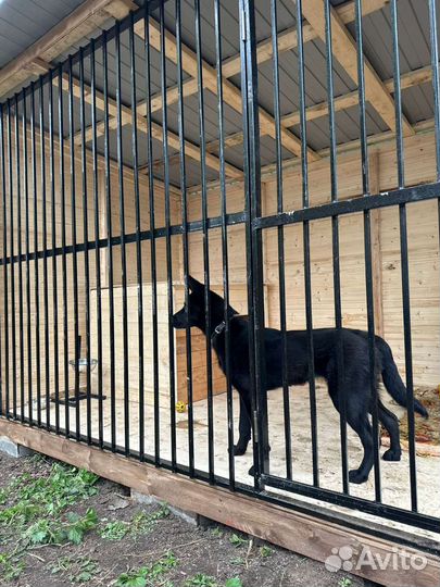 Вольер для собак уличный