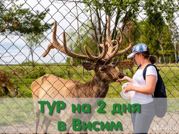 Оленья ферма+Висим+гора Белая 2 дня / 1 ночь