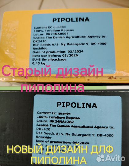 DLF trifolium пиполина семена