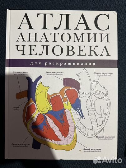 Книги для школьников
