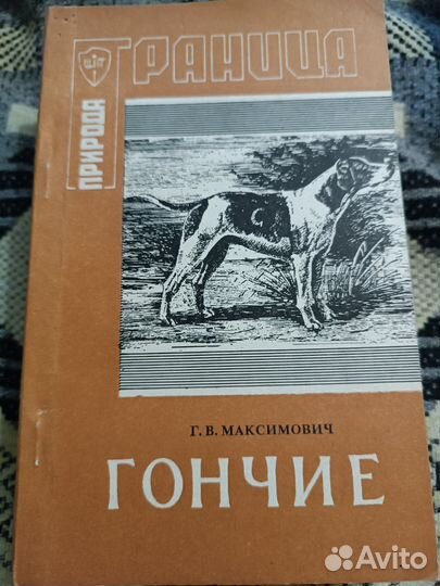 Гончие охотничьи собаки