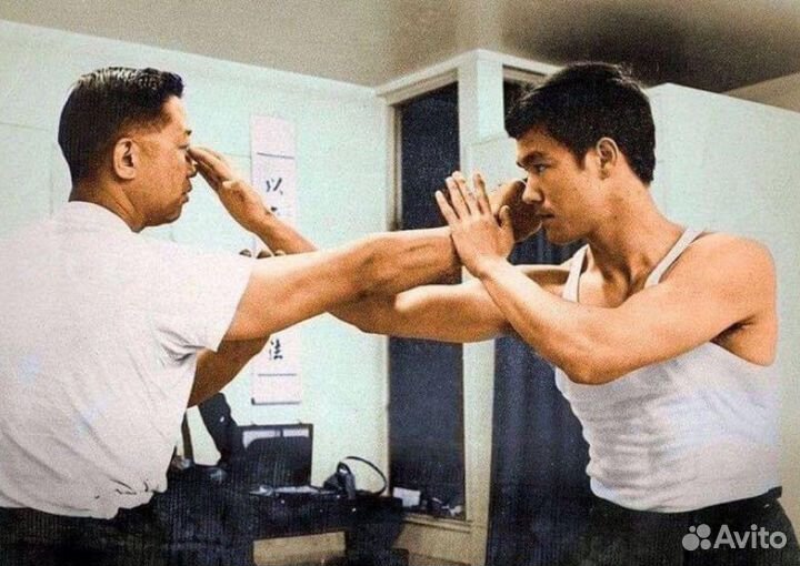 Вин Чунь (VingTsun WSl)(кунг-фу )