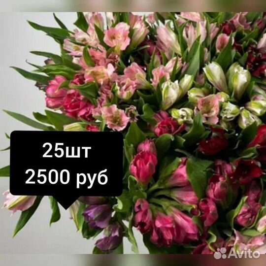 Альстромерия свежие живые цветы Тольятти