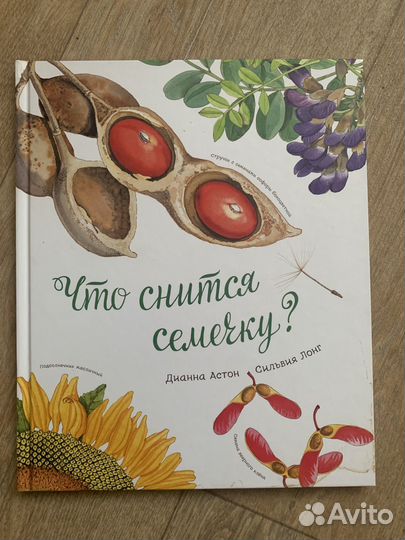 Что снится семечку