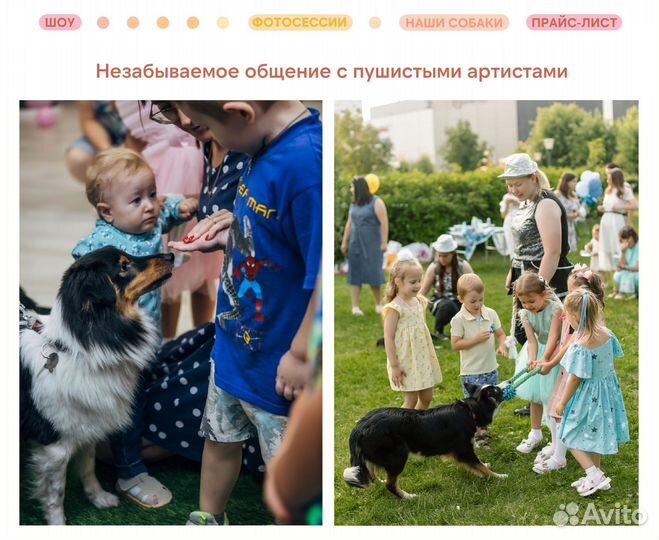 Шоу с дрессированными собаками на праздник