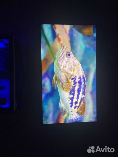 Монитор 165гц 24 дюйма