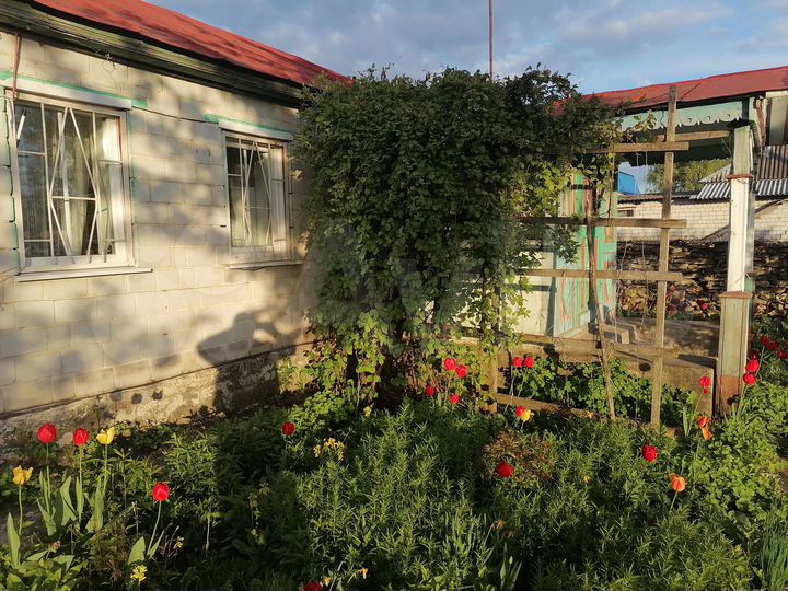 Дом 50 м² на участке 16 сот.