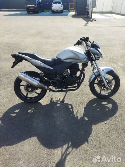Stels flex 250