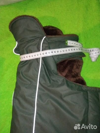 Одежда для собаки