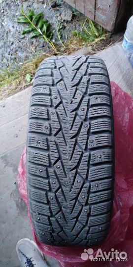 Nokian Tyres Hakkapeliitta 7 205/55 R16