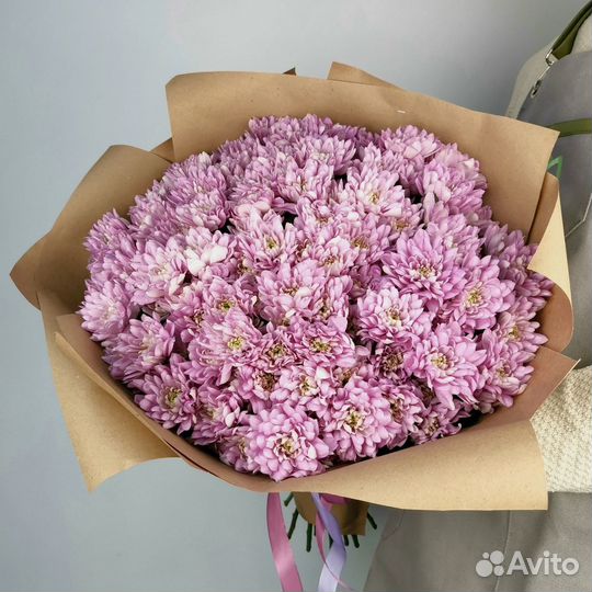 Сиреневые кустовые хризантемы