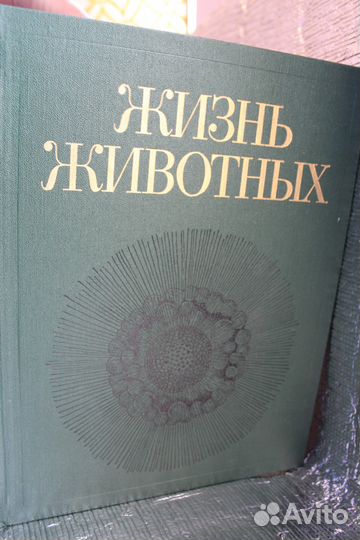 Энциклопедия 