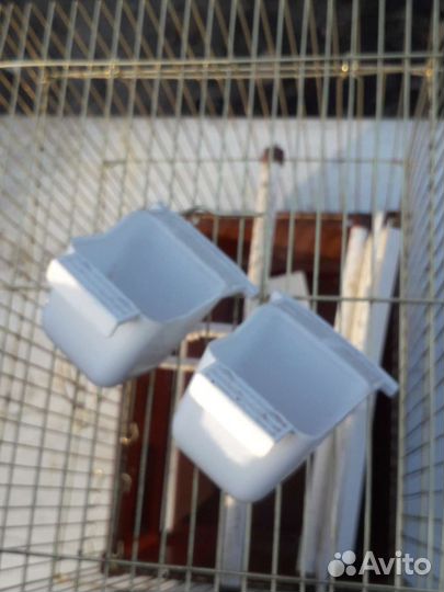 Клетка для попугая