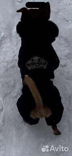 Комбинезон для собаки L