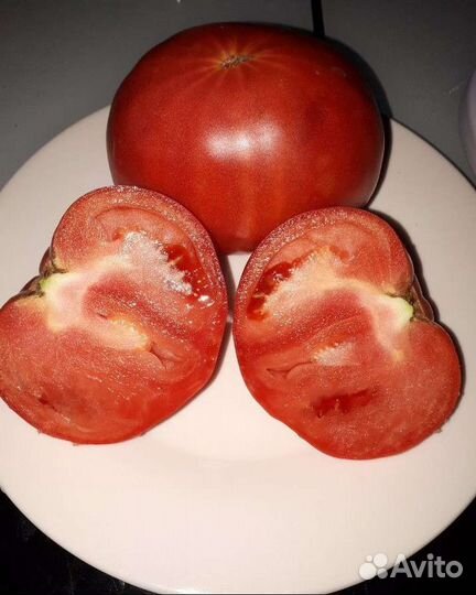 Семена сортовых томатов