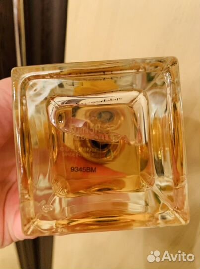 Dolce gabbana fruit collection pineapple