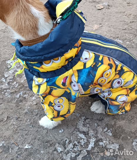 Комбинезон Joy Jack